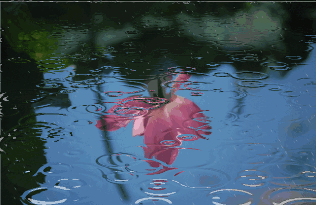 08d2f956815f4654bd205eb5e2f16010.gif