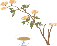1657870251382064609.png