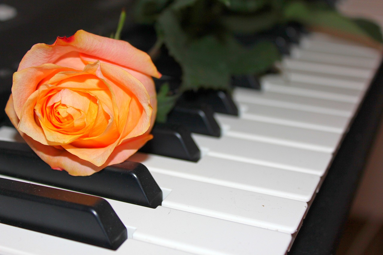 rose-4663932_1280.jpg
